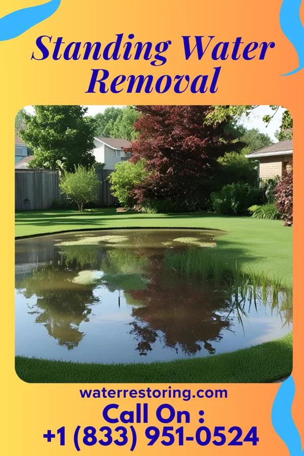 Standing Water Removal in South Daytona, FL